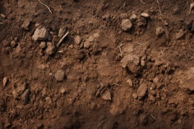 Yeraltı kahverengi toprak katman malzeme dokusu kolajı işlenmiş. Pankart, arkaplan veya 3B haritalama için doku