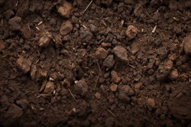 Yeraltı kahverengi toprak katman malzeme dokusu kolajı işlenmiş. Pankart, arkaplan veya 3B haritalama için doku