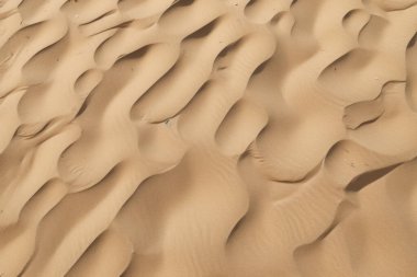 Çöl kumlarının işlenmiş kolajı yüzey dokusu. Pankart, arkaplan veya 3B haritalama için doku