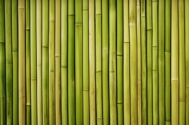 İşlenmiş yeşil bambu çit yüzey dokusu kolajı. Pankart, arkaplan veya 3B haritalama için doku