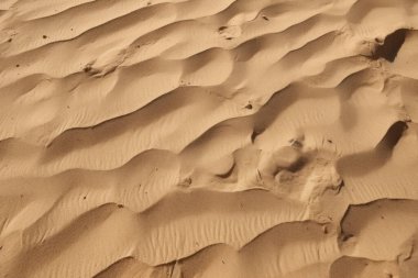 Çöl kumlarının işlenmiş kolajı yüzey dokusu. Pankart, arkaplan veya 3B haritalama için doku