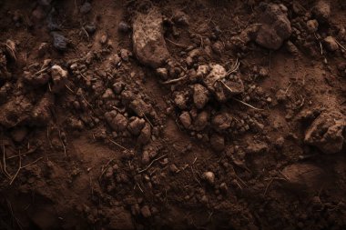 Yeraltı kahverengi toprak katman malzeme dokusu kolajı işlenmiş. Pankart, arkaplan veya 3B haritalama için doku