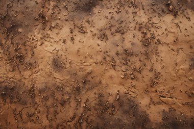 İşlenmiş kolaj eski kuru kahverengi kil yüzey dokusu. Pankart, arkaplan veya 3B haritalama için doku