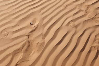 Çöl kumlarının işlenmiş kolajı yüzey dokusu. Pankart, arkaplan veya 3B haritalama için doku