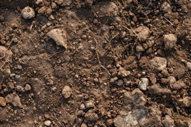 Kahverengi toprak yüzeyi fotoğrafı. Yakın çekim. Arkaplan veya haritalama için arkaplan dokusu