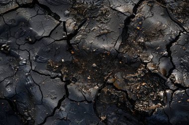 Islak toprak çamurlu göletin fotoğrafı. Arkaplan veya haritalama için arkaplan dokusu