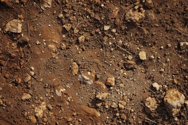 Kahverengi toprak yüzeyi fotoğrafı. Yakın çekim. Arkaplan veya haritalama için arkaplan dokusu