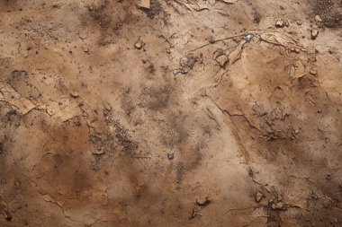 İşlenmiş kolaj eski kuru kahverengi kil yüzey dokusu. Pankart, arkaplan veya 3B haritalama için doku