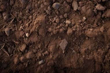Yeraltı kahverengi toprak katman malzeme dokusu kolajı işlenmiş. Pankart, arkaplan veya 3B haritalama için doku