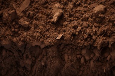 Yeraltı kahverengi toprak katman malzeme dokusu kolajı işlenmiş. Pankart, arkaplan veya 3B haritalama için doku