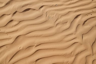 Çöl kumlarının işlenmiş kolajı yüzey dokusu. Pankart, arkaplan veya 3B haritalama için doku