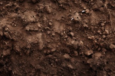 Yeraltı kahverengi toprak katman malzeme dokusu kolajı işlenmiş. Pankart, arkaplan veya 3B haritalama için doku