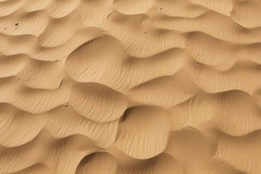 Çöl kumlarının işlenmiş kolajı yüzey dokusu. Pankart, arkaplan veya 3B haritalama için doku