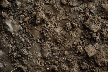 Kahverengi toprak yüzeyi fotoğrafı. Yakın çekim. Arkaplan veya haritalama için arkaplan dokusu
