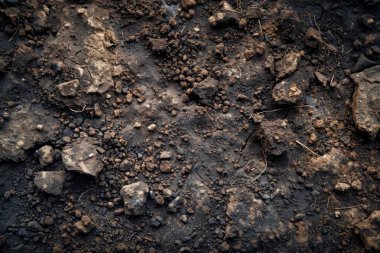 Kahverengi toprak yüzeyi fotoğrafı. Yaklaş. Arkaplan veya haritalama için arkaplan dokusu