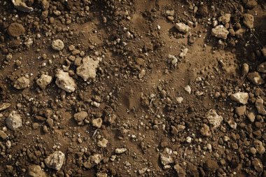 Kahverengi toprak yüzeyi fotoğrafı. Yakın çekim. Arkaplan veya haritalama için arkaplan dokusu