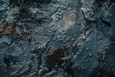 Islak toprak çamurlu göletin fotoğrafı. Arkaplan veya haritalama için arkaplan dokusu