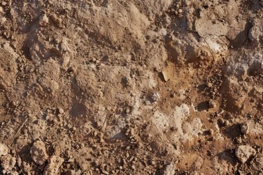 Kahverengi toprak yüzeyi fotoğrafı. Yakın çekim. Arkaplan veya haritalama için arkaplan dokusu