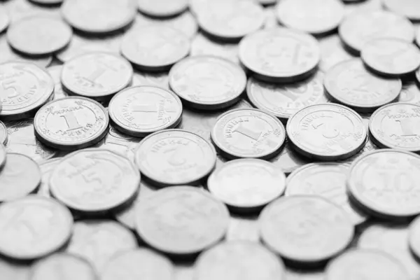 Ukrayna parası, bozuk para değişimi, farklı değerlerde beyaz sikkeler. Finans kavramı