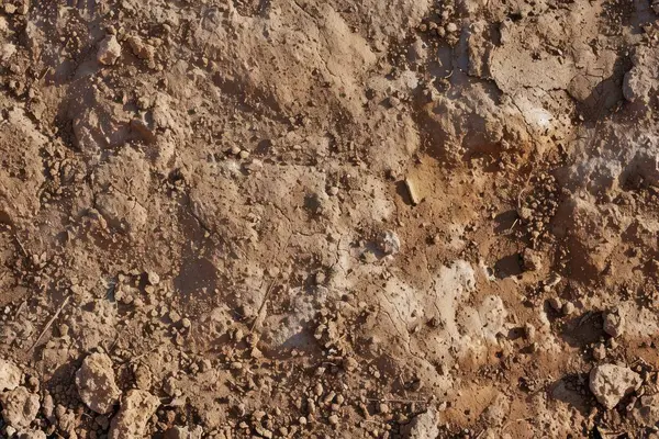Kahverengi toprak yüzeyi fotoğrafı. Yakın çekim. Arkaplan veya haritalama için arkaplan dokusu