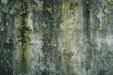 Eski, kumlu, beton yosunlu duvarın fotoğrafı. Arkaplan veya haritalama için arkaplan dokusu