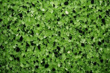 Yeşil terrazzo yüzey dokusunun işlenmiş kolajı. Pankart, arkaplan veya 3B haritalama için doku