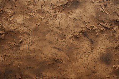 İşlenmiş kolaj eski kuru kahverengi kil yüzey dokusu. Pankart, arkaplan veya 3B haritalama için doku