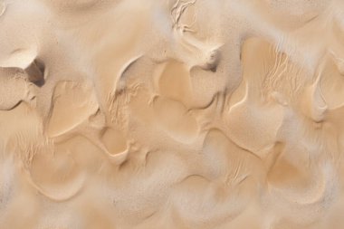 Deniz kıyısı kumlarının işlenmiş kolajı yüzey dokusu. Pankart, arkaplan veya 3B haritalama için doku