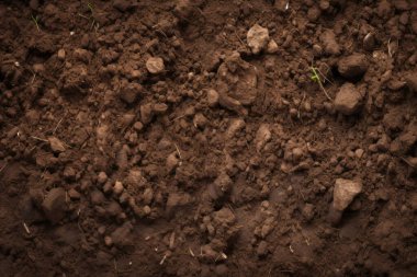 Yeraltı kahverengi toprak katman malzeme dokusu kolajı işlenmiş. Pankart, arkaplan veya 3B haritalama için doku