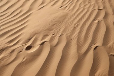 Çöl kumlarının işlenmiş kolajı yüzey dokusu. Pankart, arkaplan veya 3B haritalama için doku