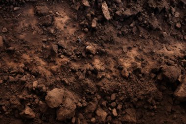 Yeraltı kahverengi toprak katman malzeme dokusu kolajı işlenmiş. Pankart, arkaplan veya 3B haritalama için doku