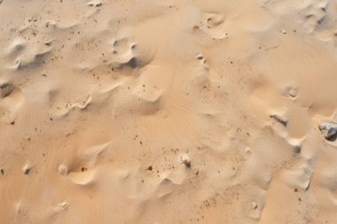 Deniz kıyısı kumlarının işlenmiş kolajı yüzey dokusu. Pankart, arkaplan veya 3B haritalama için doku