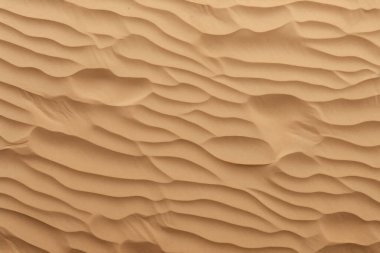 Çöl kumlarının işlenmiş kolajı yüzey dokusu. Pankart, arkaplan veya 3B haritalama için doku