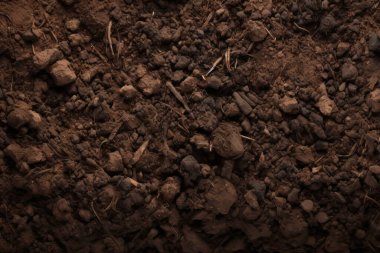 Yeraltı kahverengi toprak katman malzeme dokusu kolajı işlenmiş. Pankart, arkaplan veya 3B haritalama için doku