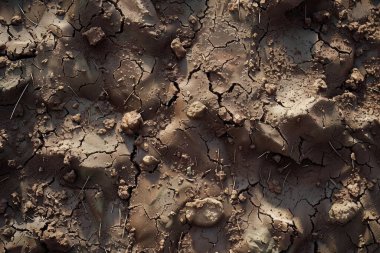 Kahverengi toprak yüzeyi fotoğrafı. Yaklaş. Arkaplan veya haritalama için arkaplan dokusu