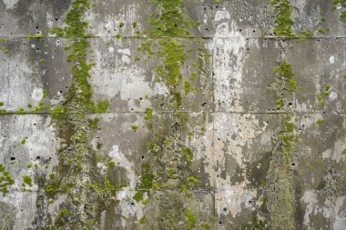 Eski, kumlu, beton yosunlu duvarın fotoğrafı. Arkaplan veya haritalama için arkaplan dokusu