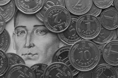 Grigori Skovoroda, 500 Ukrayna Hryvnias para banknotundan gümüş Ukrayna paralarıyla çevrili.