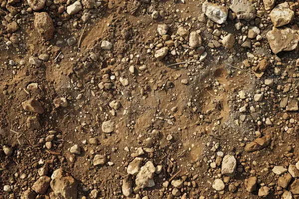 Kahverengi toprak yüzeyi fotoğrafı. Yakın çekim. Arkaplan veya haritalama için arkaplan dokusu