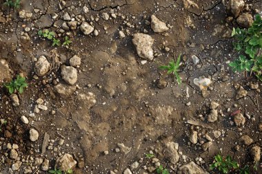 Kahverengi toprak yüzeyi fotoğrafı. Yakın çekim. Arkaplan veya haritalama için arkaplan dokusu