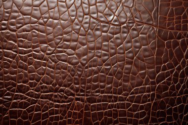 Kahverengi deri yüzey dokusundan işlenmiş kolaj. Pankart, arkaplan veya 3B haritalama için doku