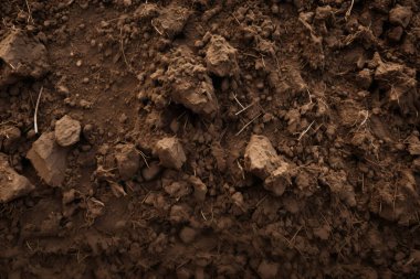 Yeraltı kahverengi toprak katman malzeme dokusu kolajı işlenmiş. Pankart, arkaplan veya 3B haritalama için doku