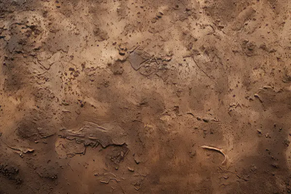 İşlenmiş kolaj eski kuru kahverengi kil yüzey dokusu. Pankart, arkaplan veya 3B haritalama için doku