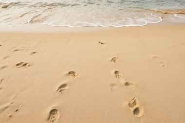 Deniz kıyısı kumlarının işlenmiş kolajı yüzey dokusu. Pankart, arkaplan veya 3B haritalama için doku