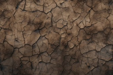 Çatlamış kil yüzey dokusunun işlenmiş kolajı. Pankart, arkaplan veya 3B haritalama için doku
