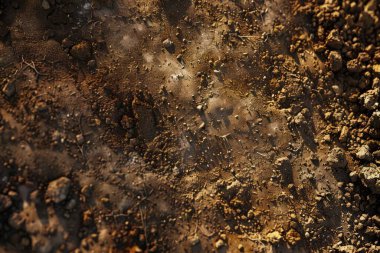 Kahverengi toprak yüzeyi fotoğrafı. Yaklaş. Arkaplan veya haritalama için arkaplan dokusu