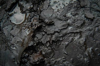 Islak toprak çamurlu göletin fotoğrafı. Arkaplan veya haritalama için arkaplan dokusu