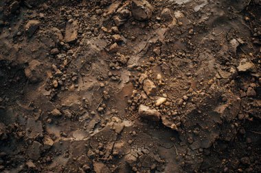 Kahverengi toprak yüzeyi fotoğrafı. Yaklaş. Arkaplan veya haritalama için arkaplan dokusu