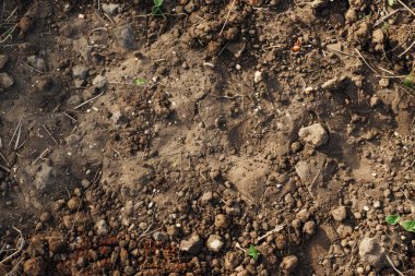 Kahverengi toprak yüzeyi fotoğrafı. Yakın çekim. Arkaplan veya haritalama için arkaplan dokusu