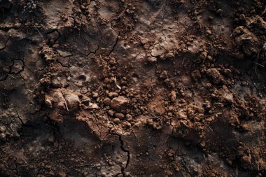 Kahverengi toprak yüzeyi fotoğrafı. Yaklaş. Arkaplan veya haritalama için arkaplan dokusu