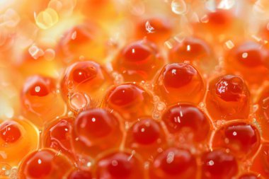 Taze ve ıslak doğal kırmızı havyar fotoğrafı. Arkaplan ya da yemek tarifleri için yemek fotoğrafı